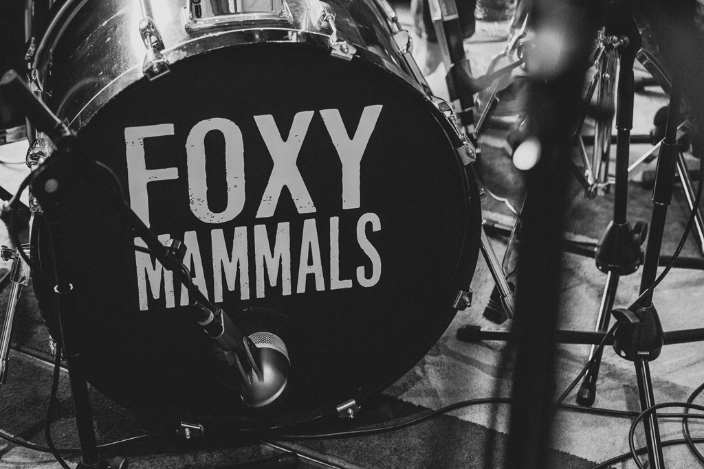 The foxy Mammals